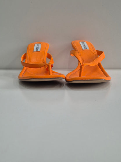Steve Madden