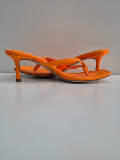 Steve Madden